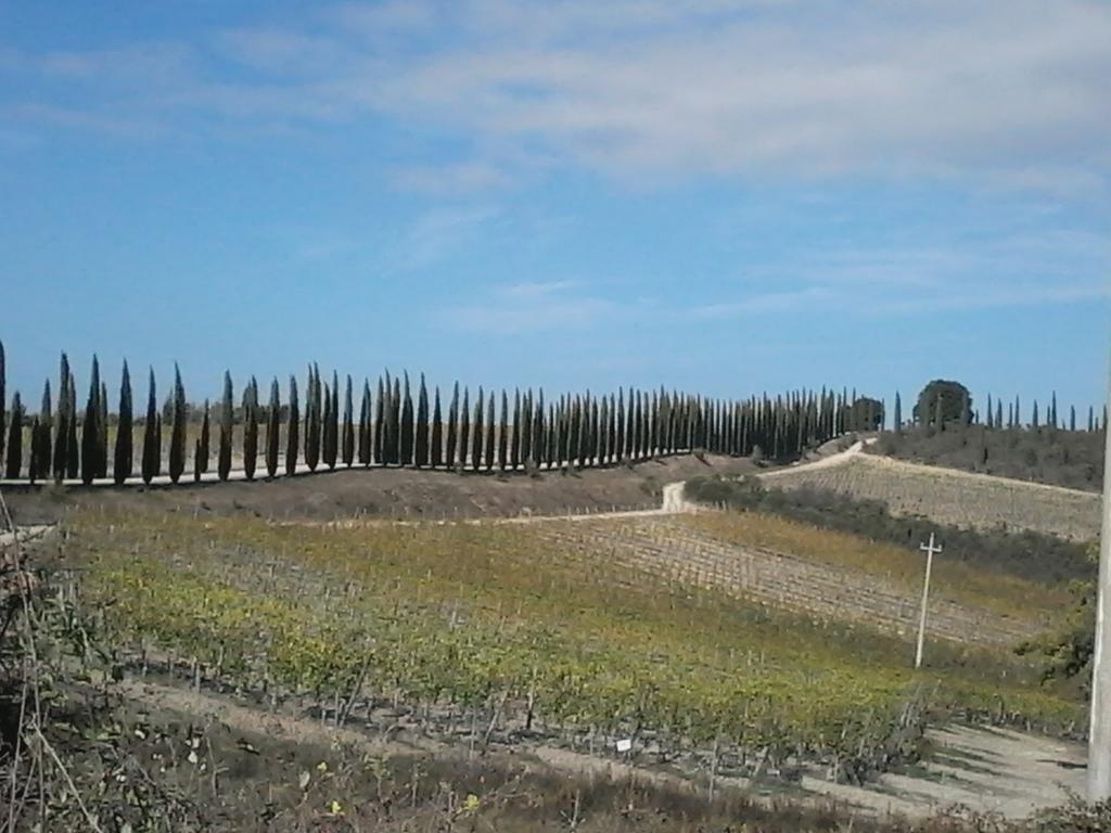 Cisterna Nel Borgo *